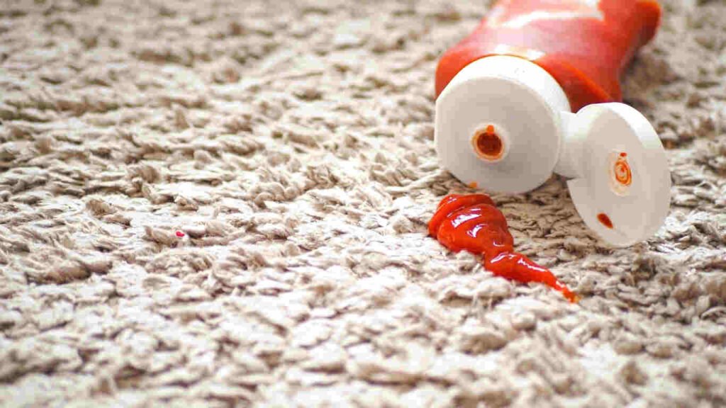 trusted carpet stain remover in Swindon