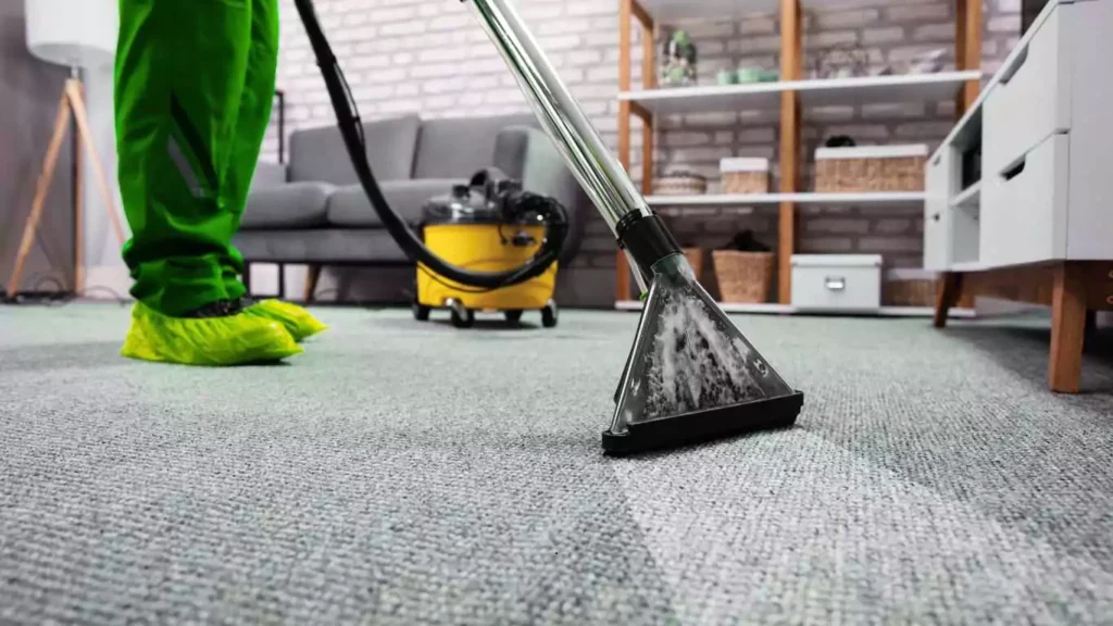 Carpet stain and odour removal with professional carpet cleaner service
