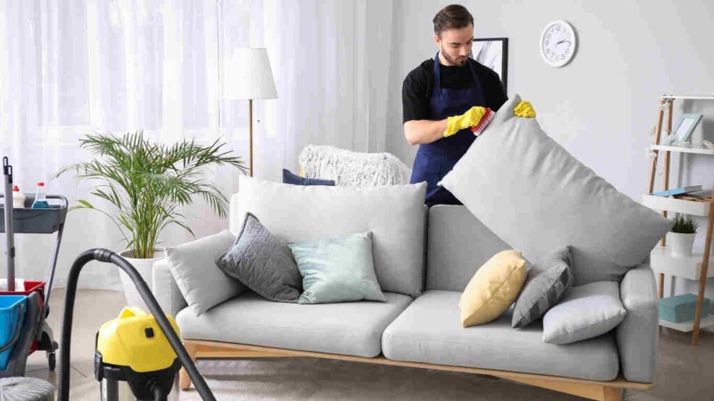Expert sofa cleaning service removing stains and dirt