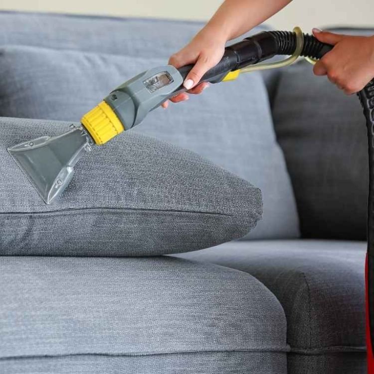 Professional leather cleaning service for sofas