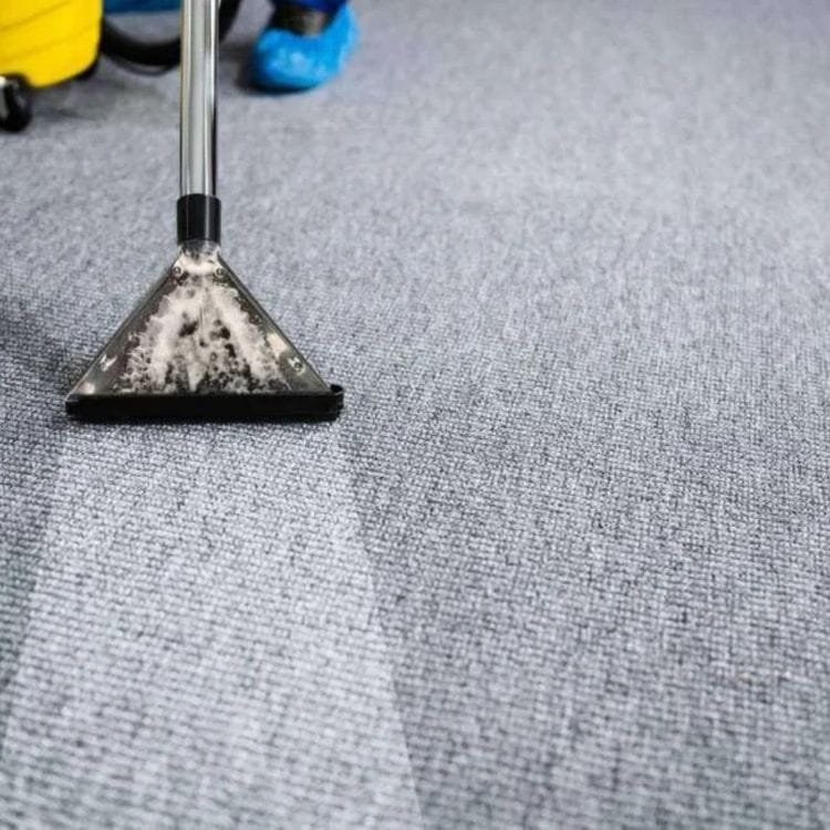 Professional rug cleaning service for deep cleanliness