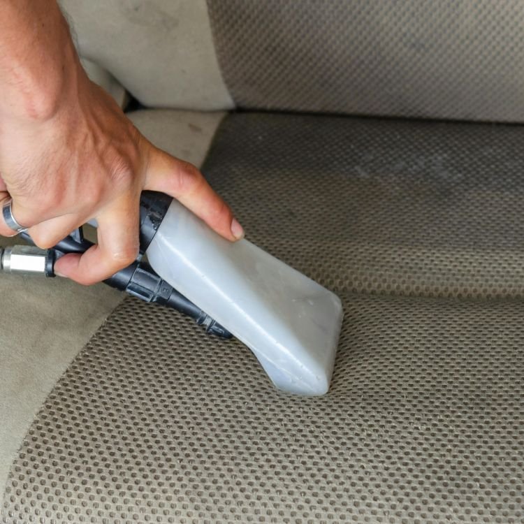 Professional stain and odour removal services for homes