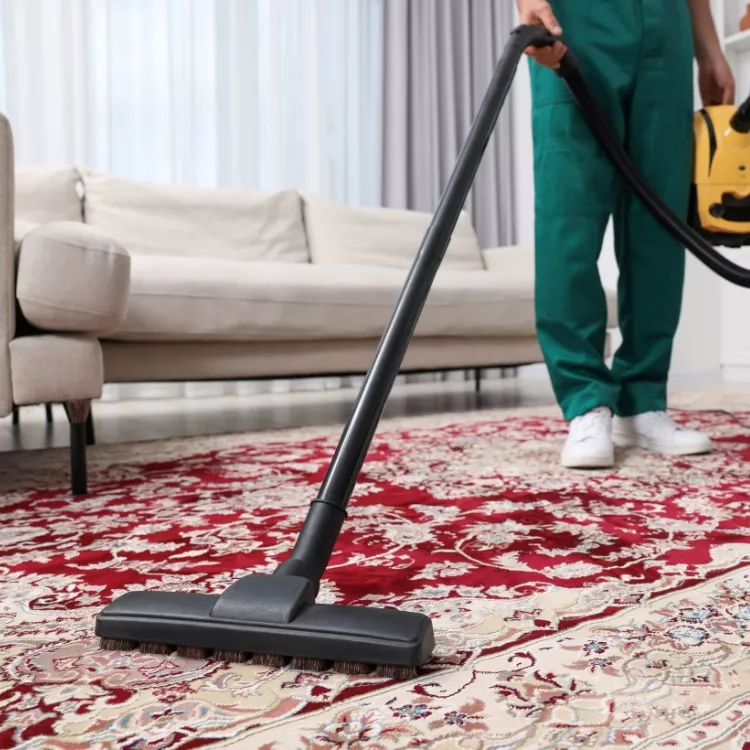 Home rug care using professional rug cleaning service in Botley