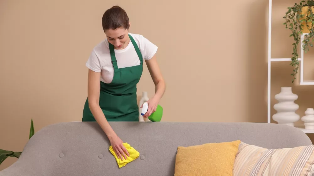 Living room furniture cleaned by professional upholstery cleaning in Summertown